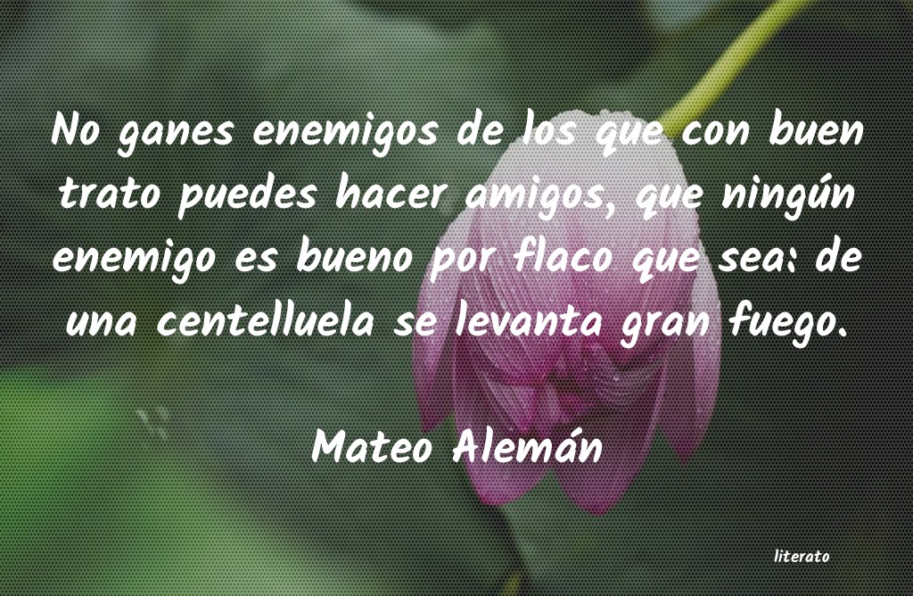 Frases de Mateo Alemán