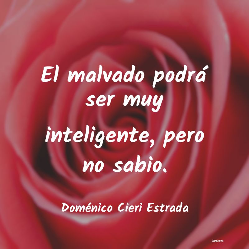 Frases de Doménico Cieri Estrada