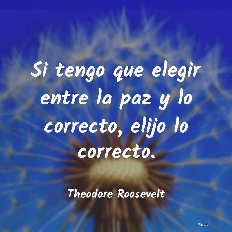 Frases de Theodore Roosevelt