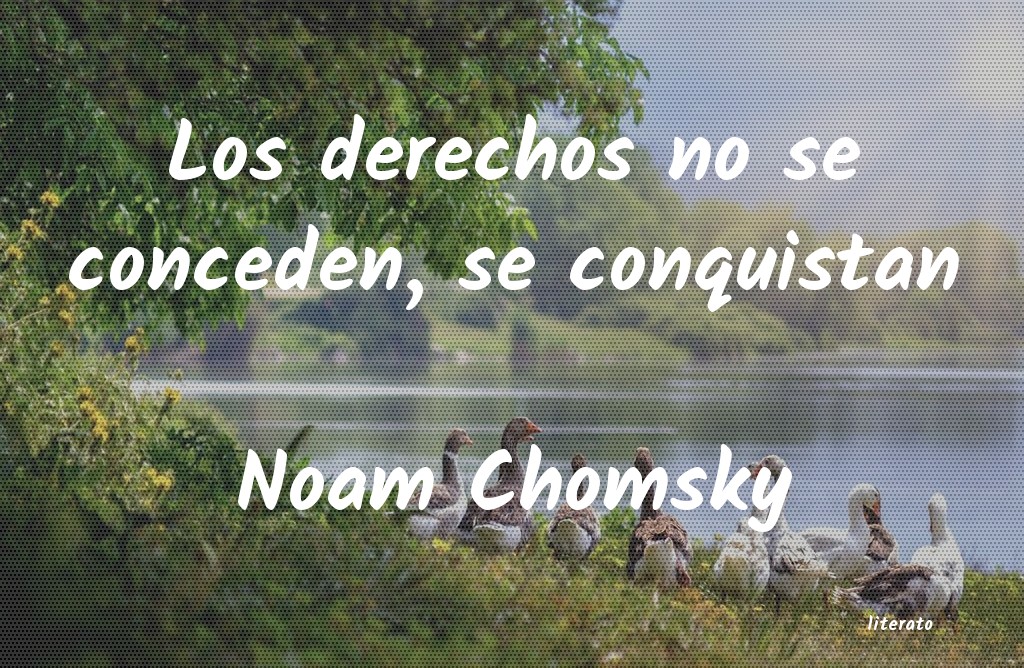 frases de Noam Chomsky