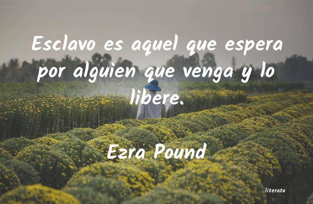 Frases de Ezra Pound