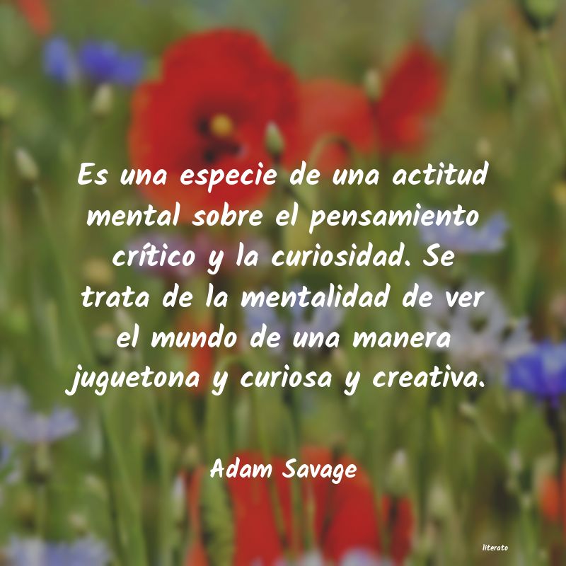 Frases de Adam Savage