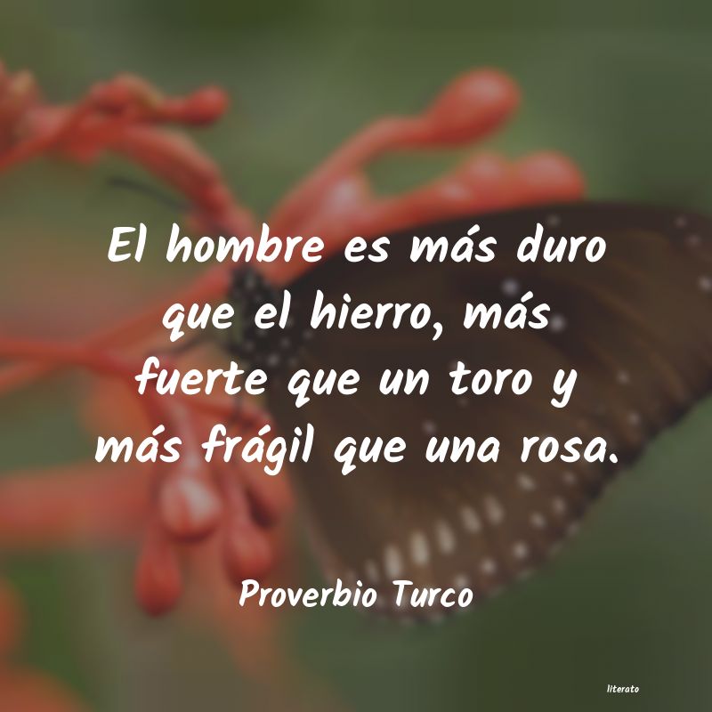 frases para picar a un hombre