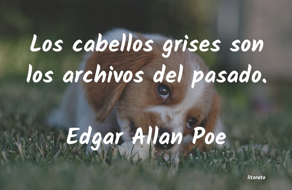 Frases de Edgar Allan Poe