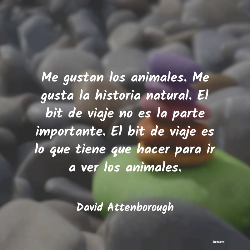 Frases de David Attenborough