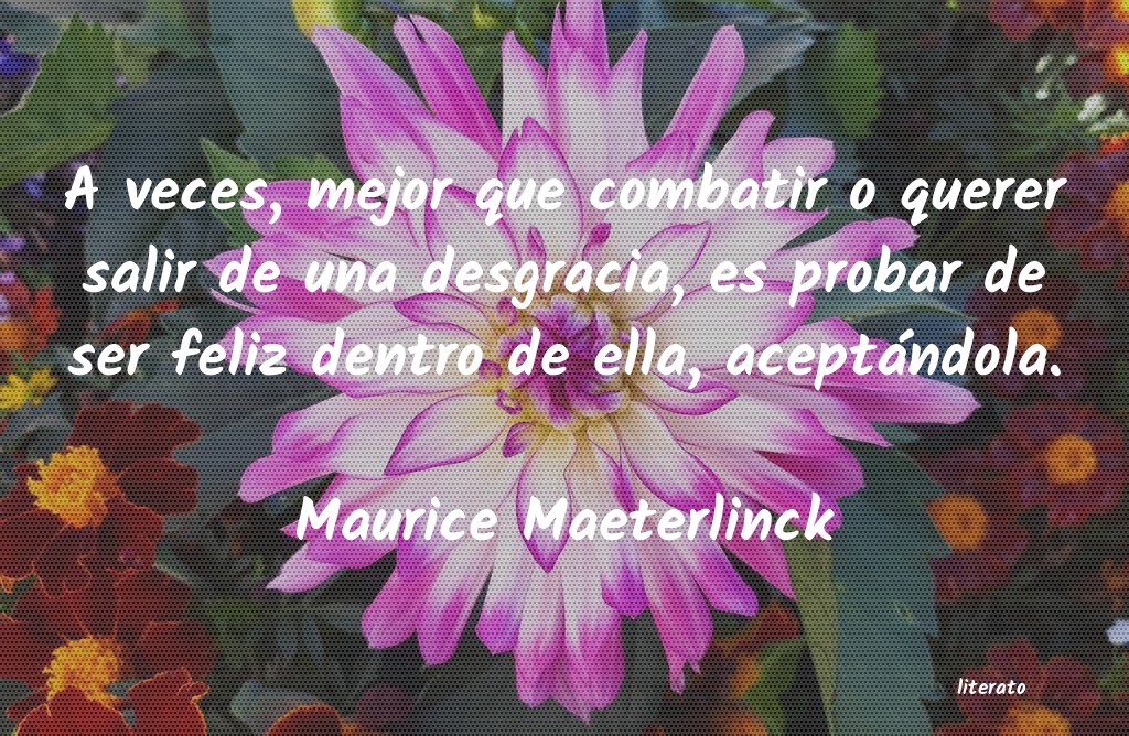 Frases de Maurice Maeterlinck