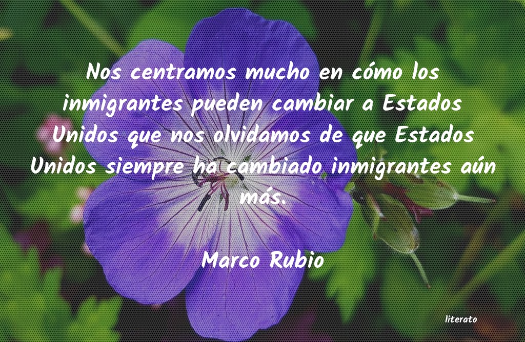 Frases de Marco Rubio