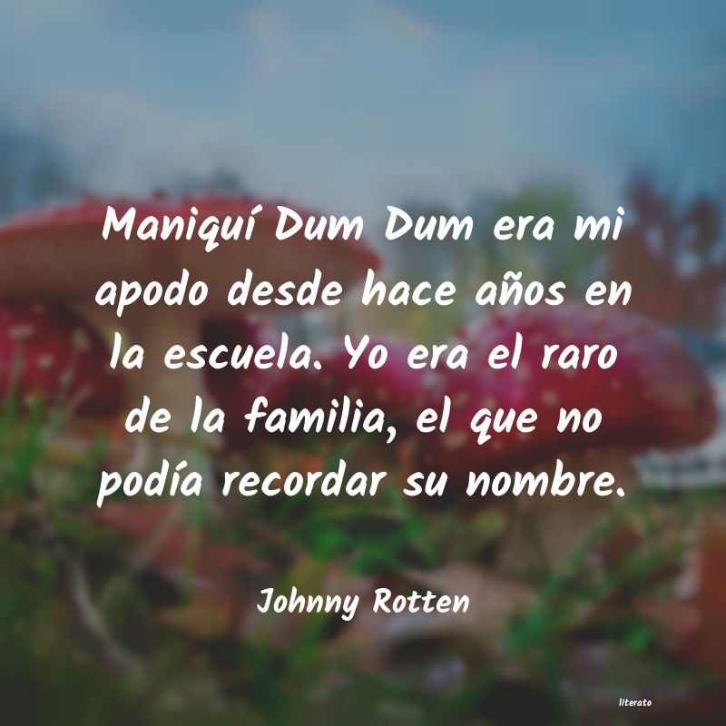 Frases de Johnny Rotten