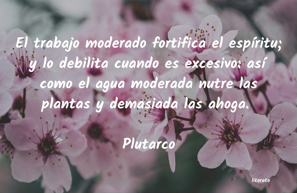 Frases del cuidado de las plantas - Literato