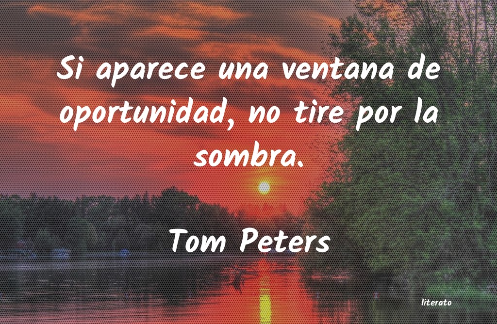 Frases de Tom Peters