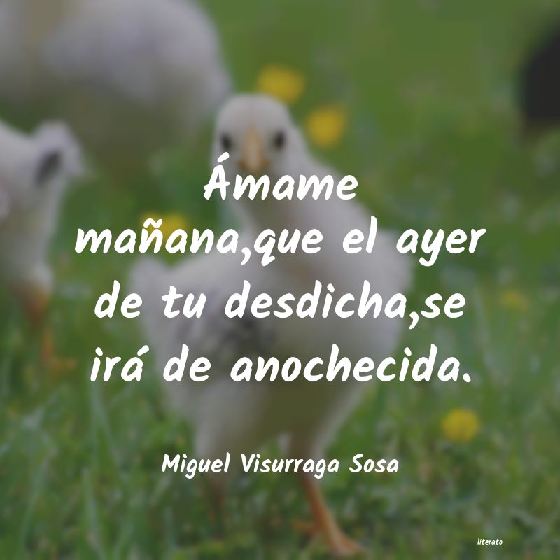 frases de Miguel Visurraga Sosa