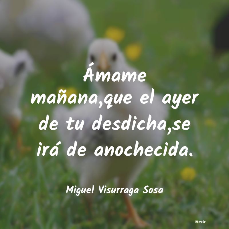 Frases de Miguel Visurraga Sosa