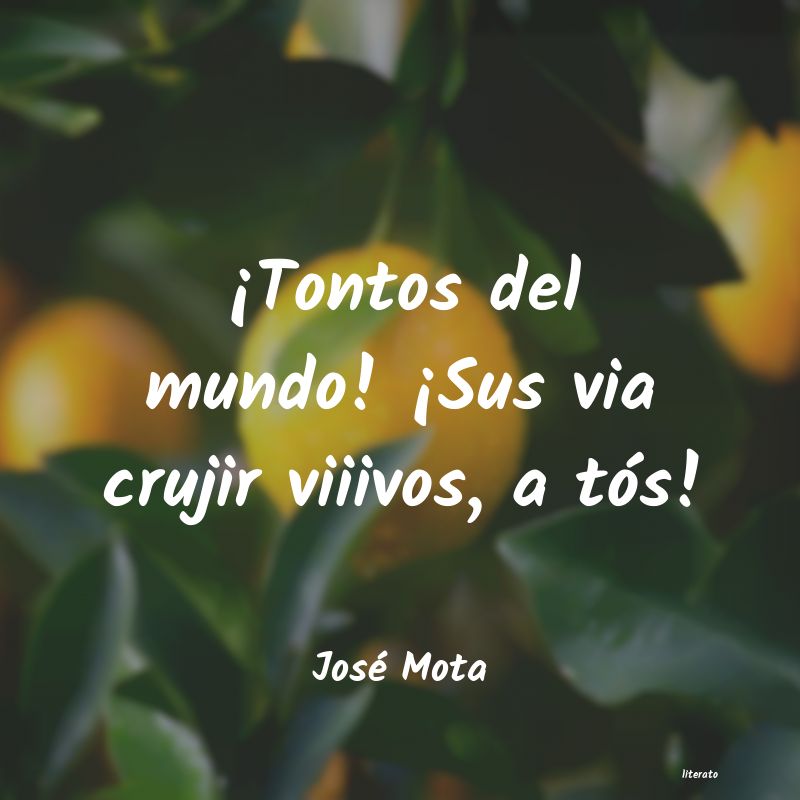 Frases de José Mota