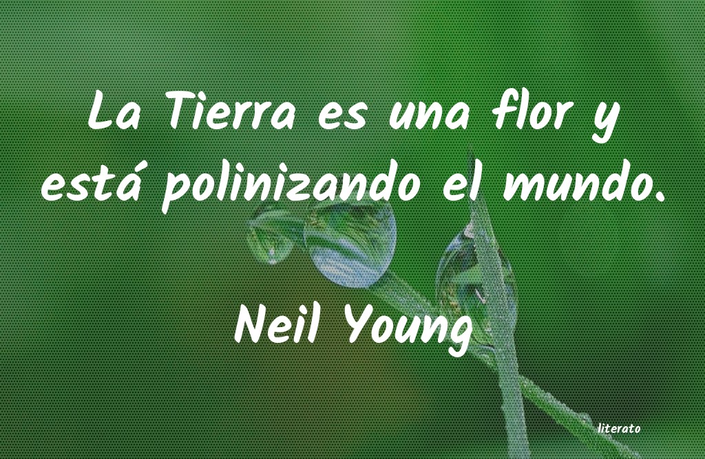 Frases de Neil Young