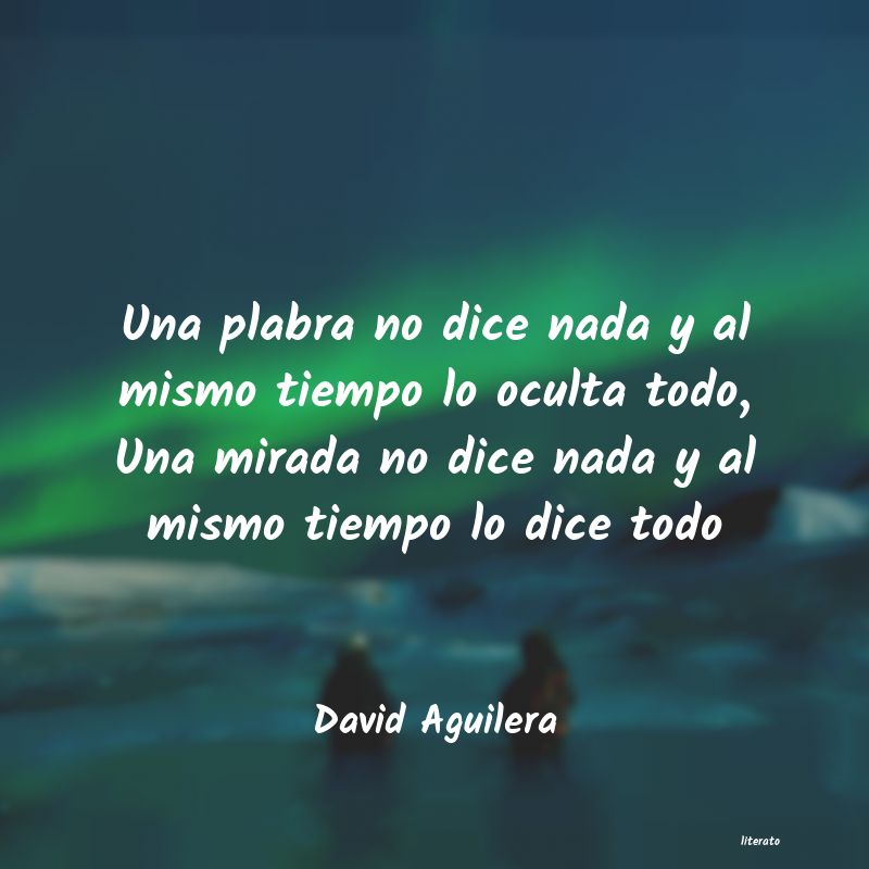 Frases de David Aguilera