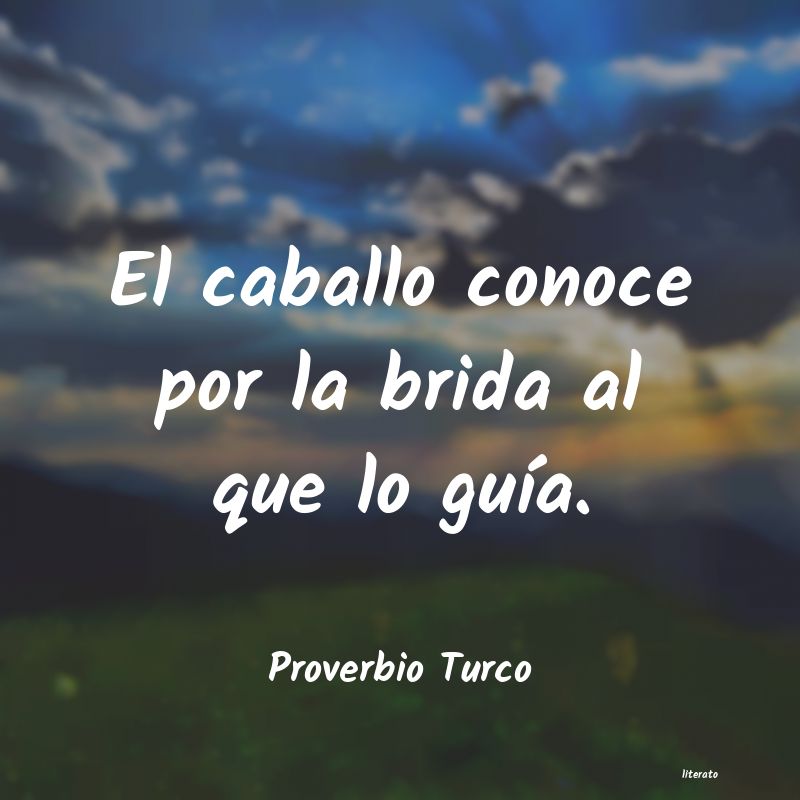 Frases de Proverbio Turco