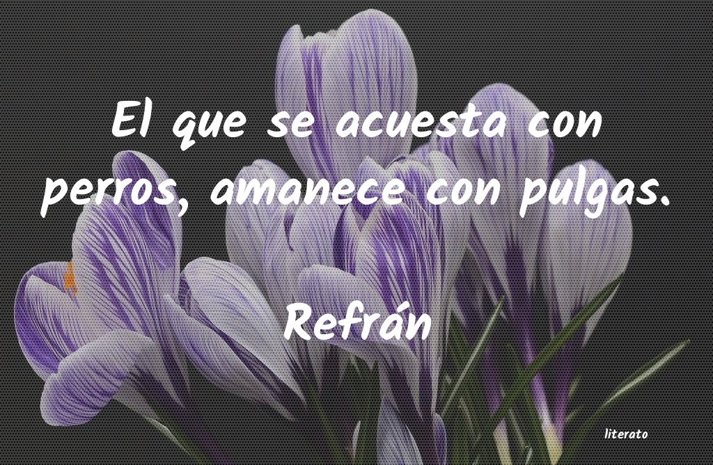 frases de RefrÃ¡n