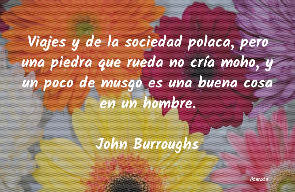 Frases de John Burroughs