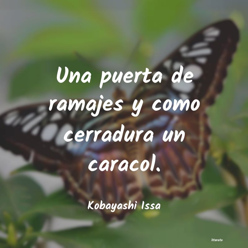 frases de Kobayashi Issa