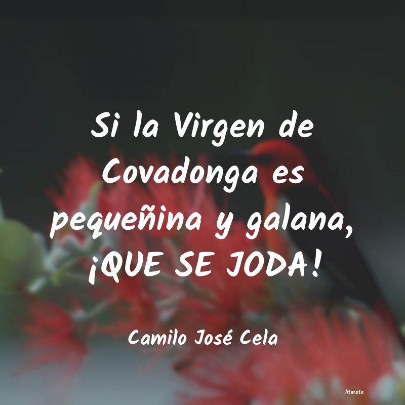 frases de Camilo José Cela