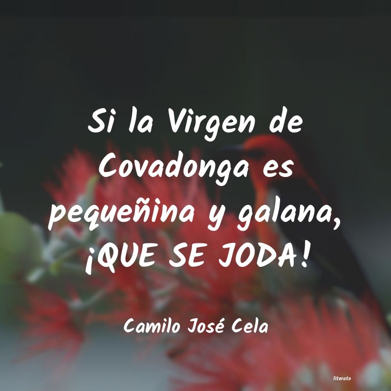 Frases de Camilo José Cela