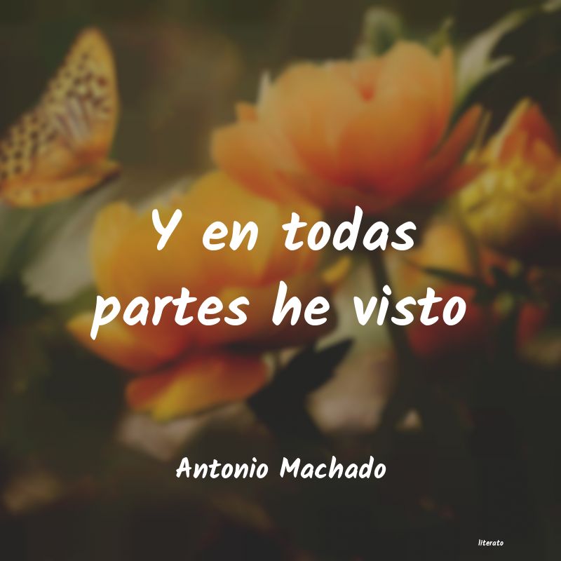 antonio machado valor y precio