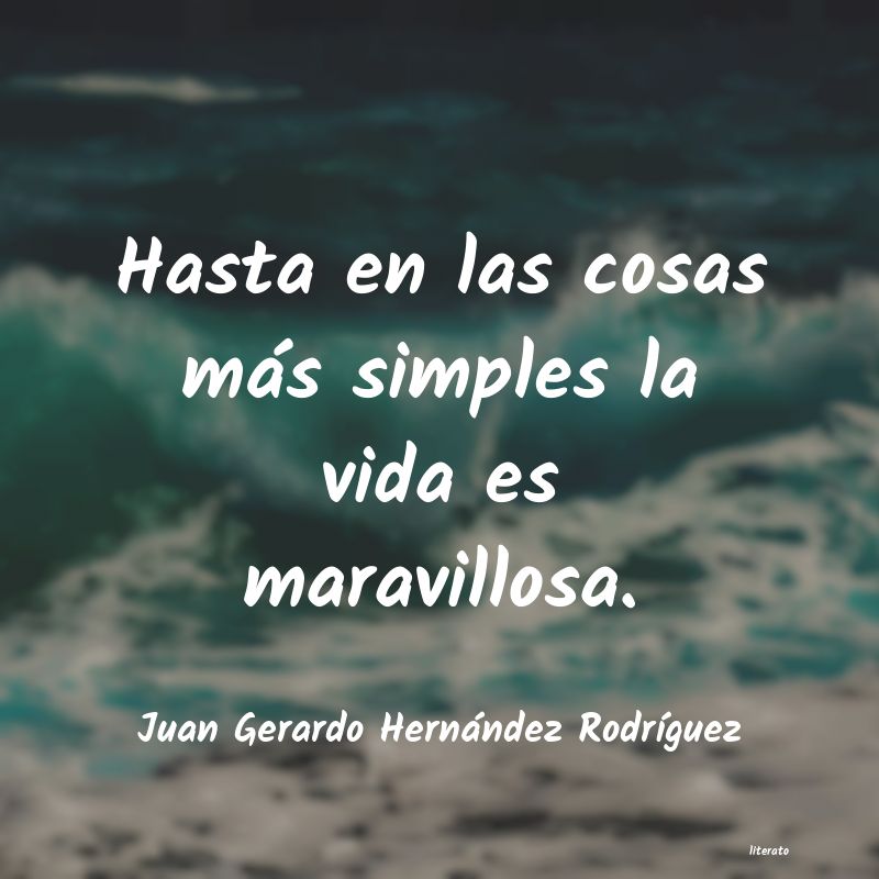 Frases de Juan Gerardo Hernández Rodríguez