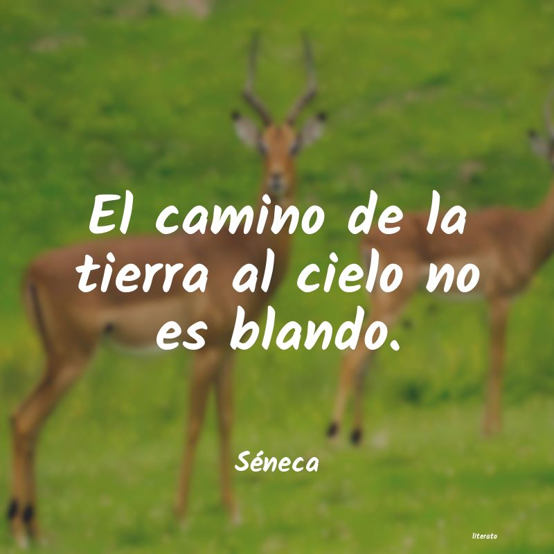 Frases de Séneca