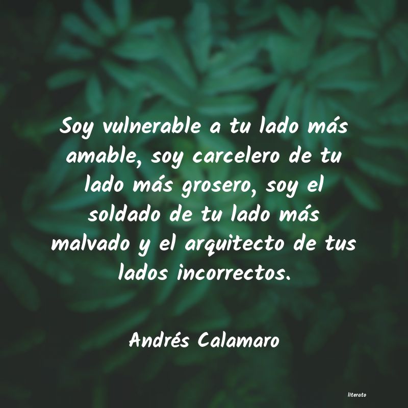 Frases de Andrés Calamaro