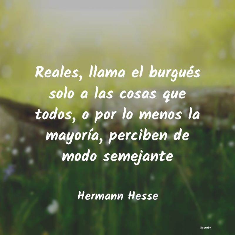 Frases de Hermann Hesse