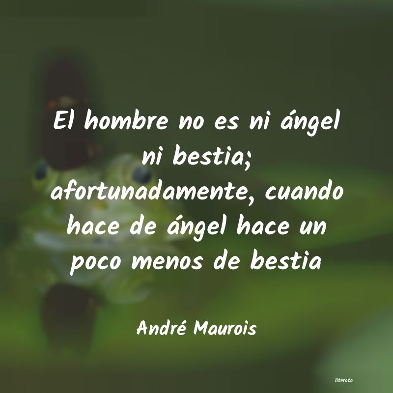 frases de André Maurois