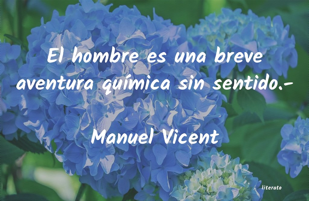 frases de Manuel Vicent