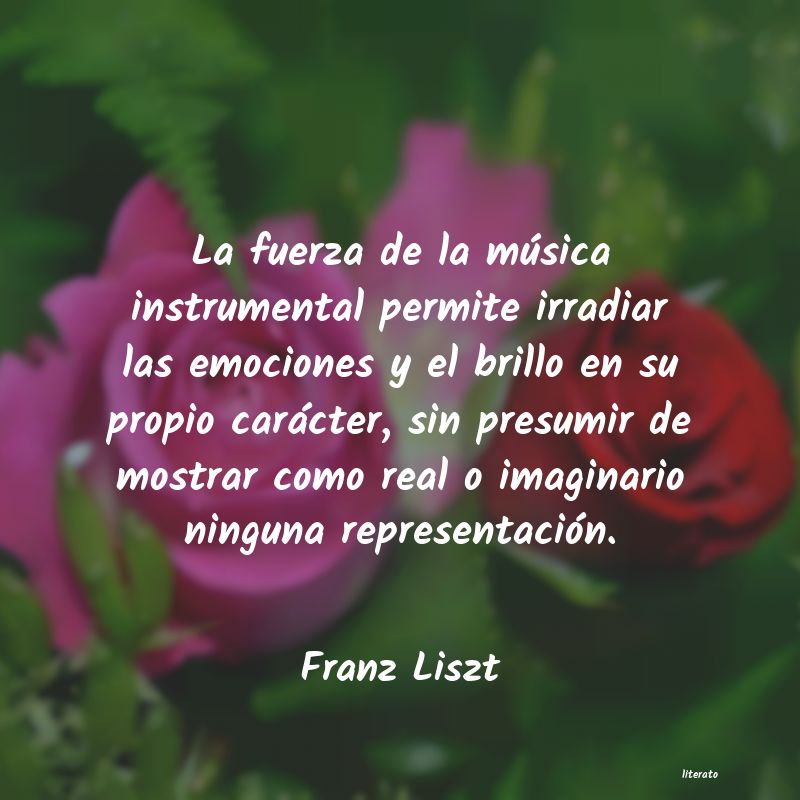 Frases de Franz Liszt