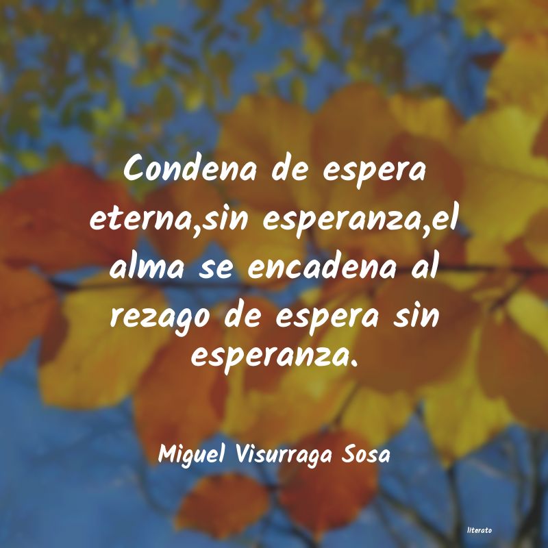 Frases de Miguel Visurraga Sosa