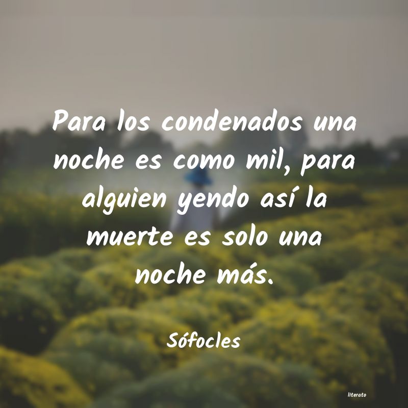frases de Sófocles