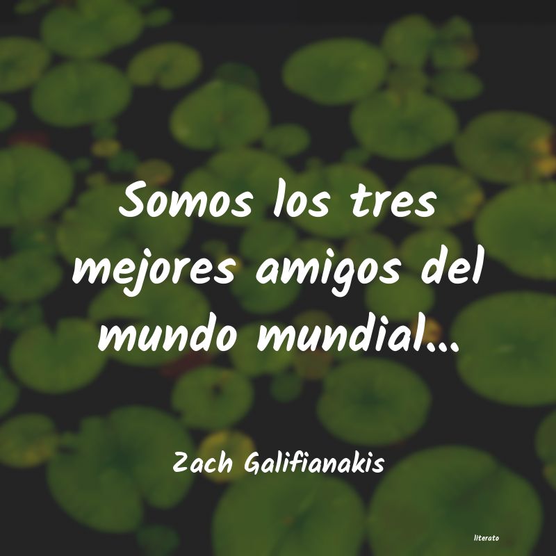 Frases de Zach Galifianakis