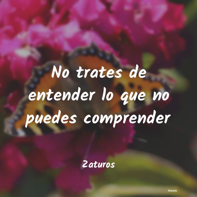 frases de Zaturos