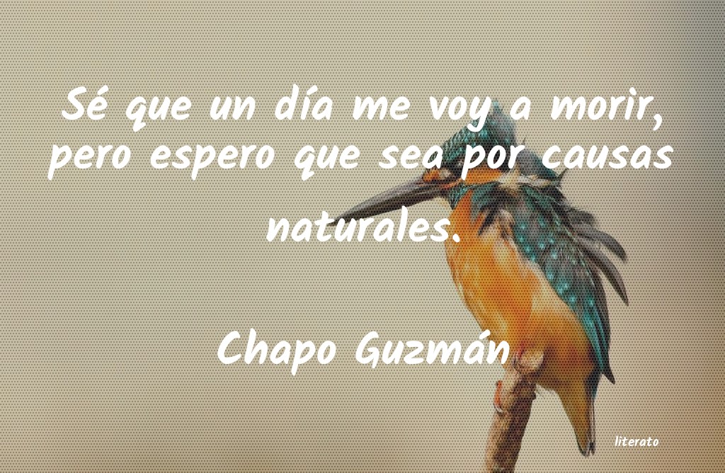 frases de Chapo Guzmán