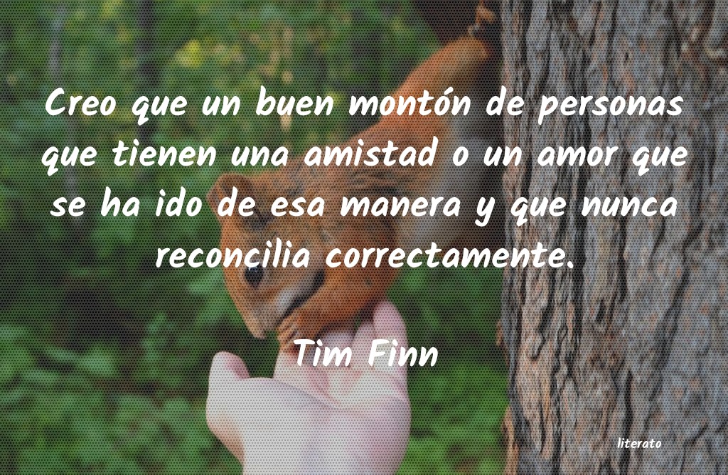 Frases de Tim Finn