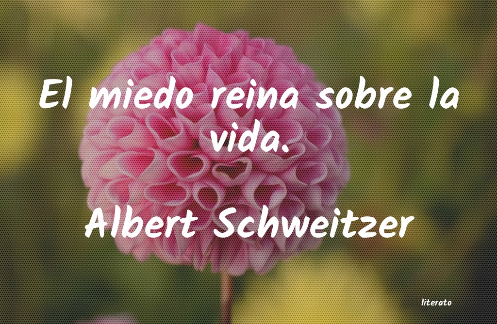 Frases de Albert Schweitzer