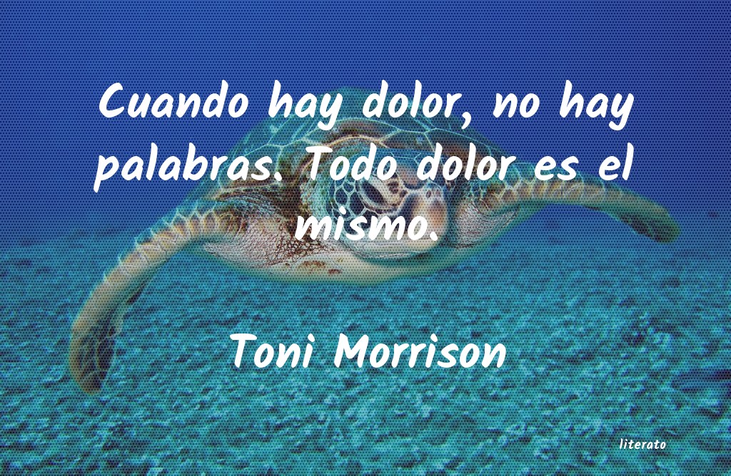 Frases de Toni Morrison