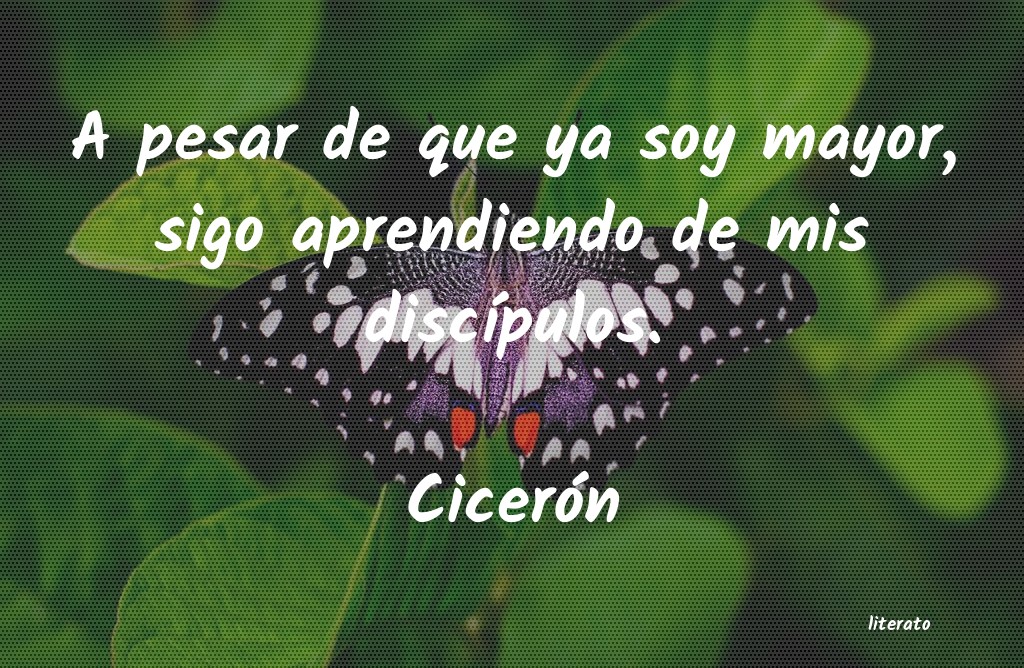 Frases de Cicerón