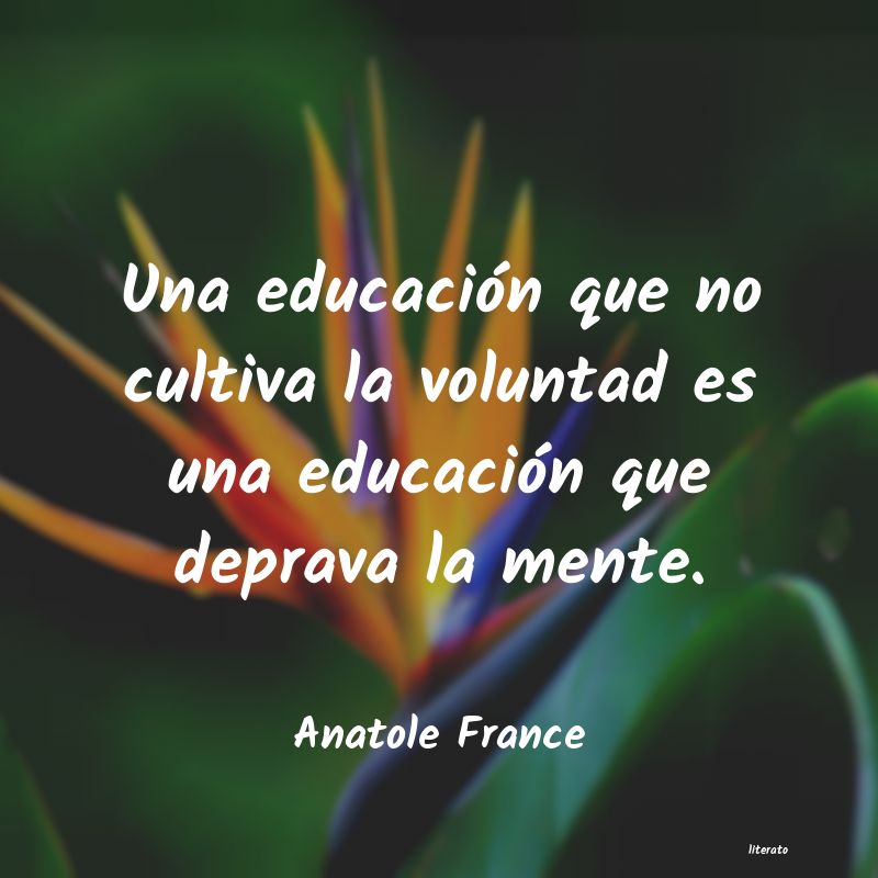 Frases de Anatole France