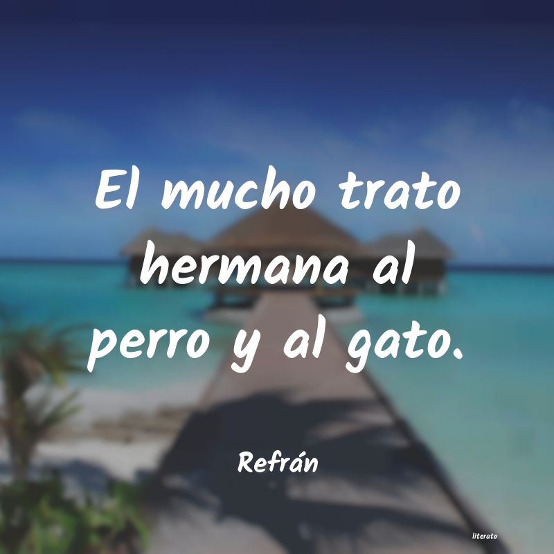 frases de Refrán