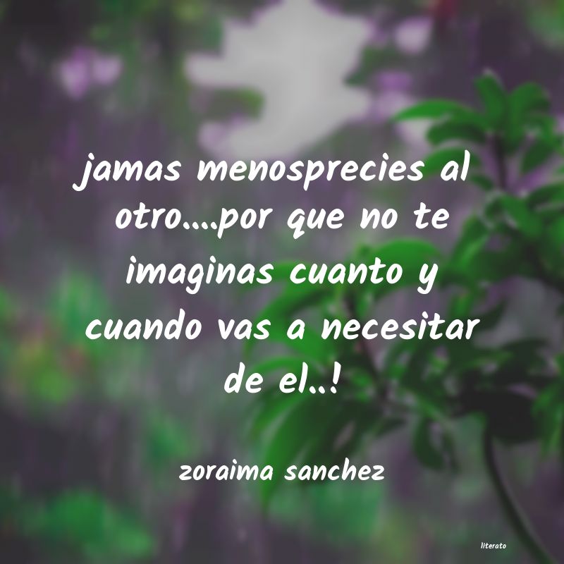 Frases de zoraima sanchez