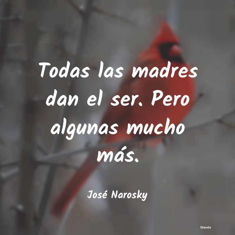 Frases de José Narosky