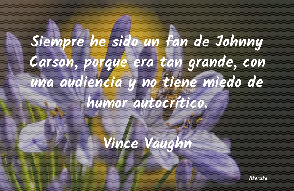 Frases de Vince Vaughn