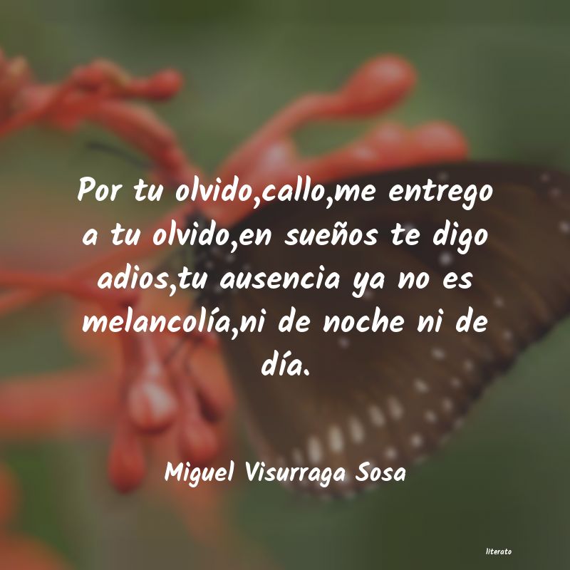 Frases de Miguel Visurraga Sosa