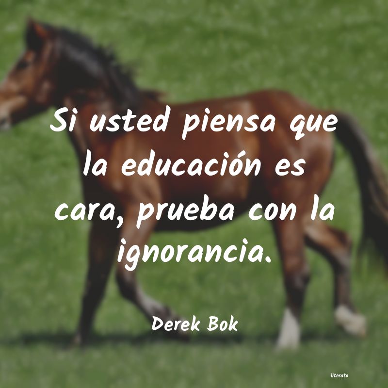 Frases de Derek Bok