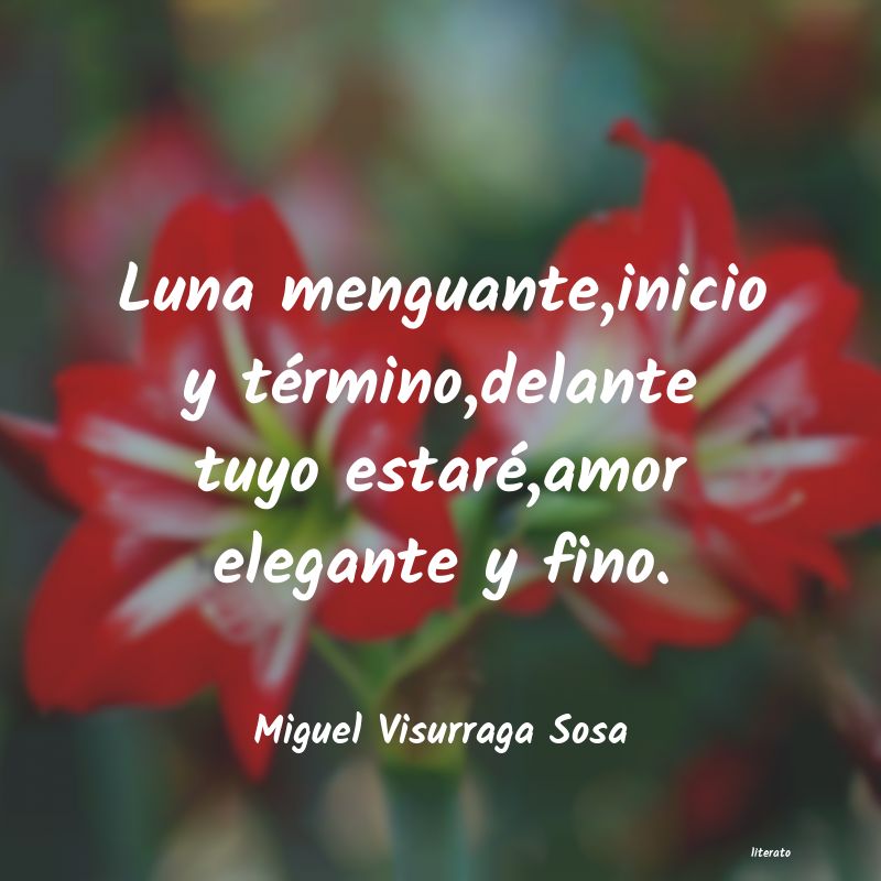 frases de Miguel Visurraga Sosa